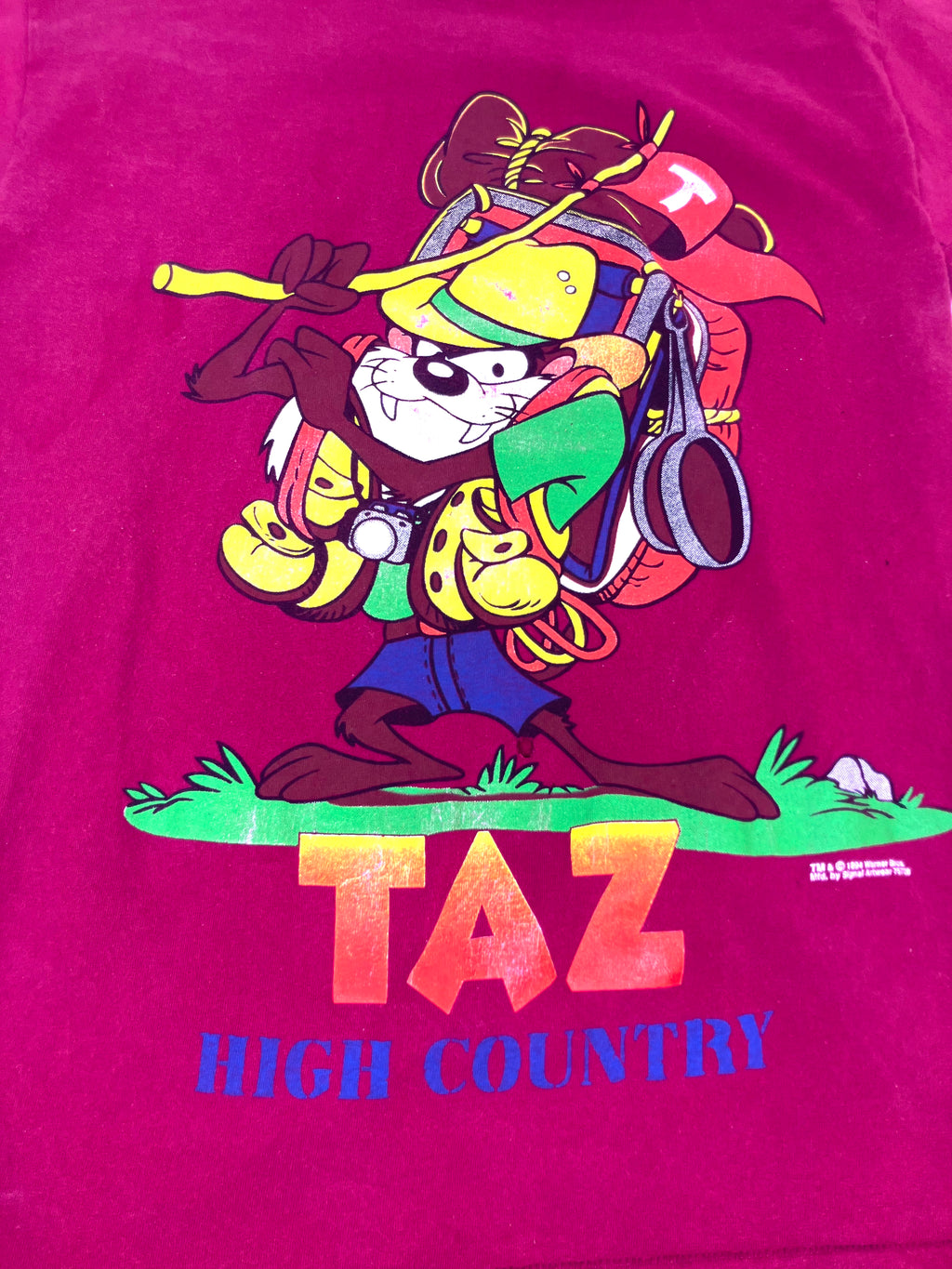 Vintage 1994 Taz Looney Tunes All Over Print T-Shirt Signal Artwear Sz M READ